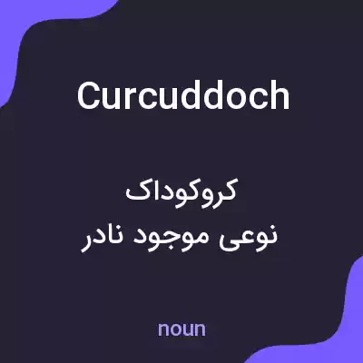 معنی curcuddoch به فارسی معنی curcuddoch به فارسی