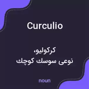 معنی curculio به فارسی معنی curculio به فارسی