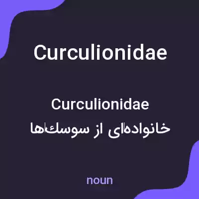 معنی curculionidae به فارسی معنی curculionidae به فارسی