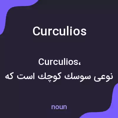 معنی curculios به فارسی معنی curculios به فارسی