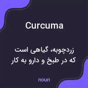 معنی curcuma به فارسی معنی curcuma به فارسی