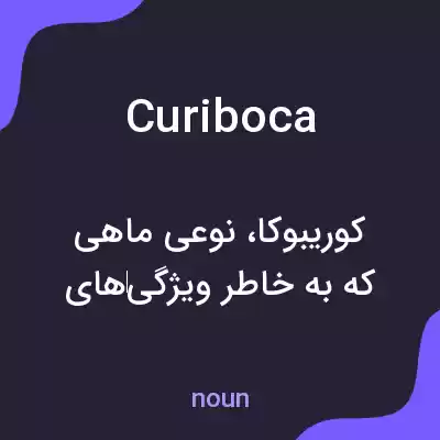 معنی curiboca به فارسی معنی curiboca به فارسی