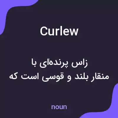 معنی curlew به فارسی معنی curlew به فارسی