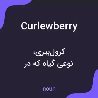 معنی curlewberry به فارسی معنی curlewberry به فارسی
