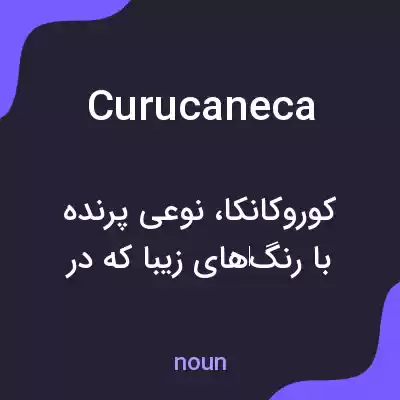 معنی curucaneca به فارسی معنی curucaneca به فارسی