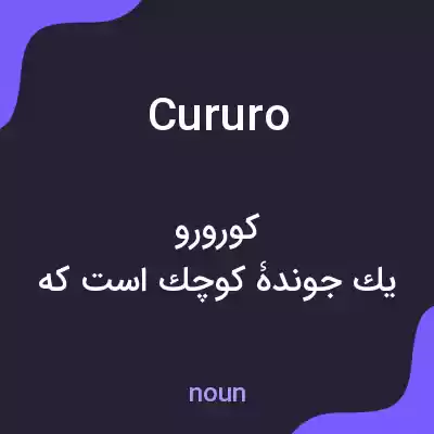 معنی cururo به فارسی معنی cururo به فارسی