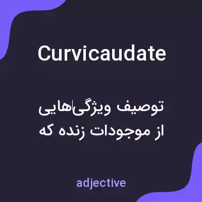 معنی curvicaudate به فارسی