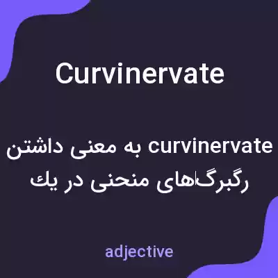 معنی curvinervate به فارسی معنی curvinervate به فارسی