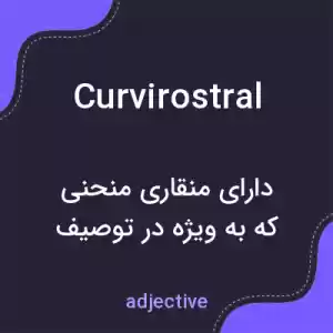 معنی curvirostral به فارسی