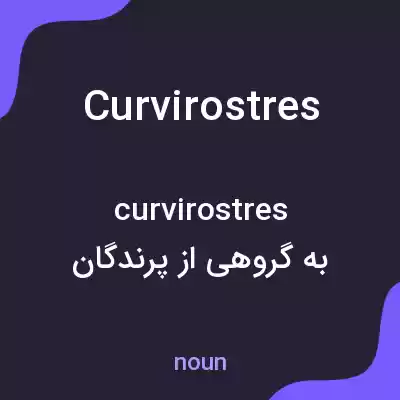 معنی curvirostres به فارسی معنی curvirostres به فارسی