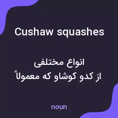 معنی cushaw squashes به فارسی معنی cushaw squashes به فارسی