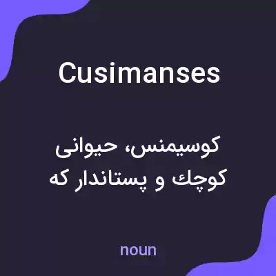 معنی cusimanses به فارسی معنی cusimanses به فارسی