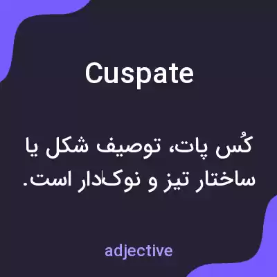 معنی cuspate به فارسی معنی cuspate به فارسی