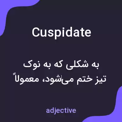 معنی cuspidate به فارسی معنی cuspidate به فارسی