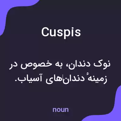 معنی cuspis به فارسی معنی cuspis به فارسی