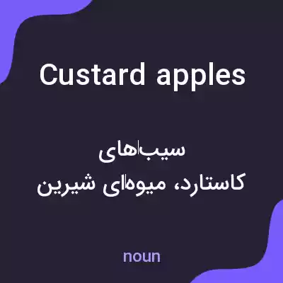 معنی custard apples به فارسی