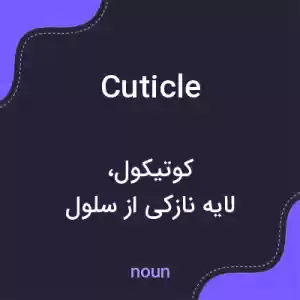 معنی cuticle به فارسی معنی cuticle به فارسی