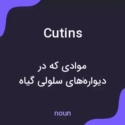 معنی cutins به فارسی معنی cutins به فارسی