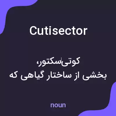 معنی cutisector به فارسی