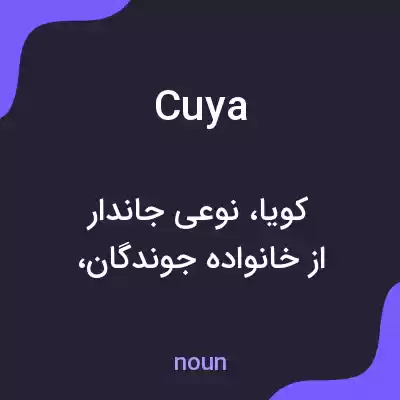 معنی cuya به فارسی