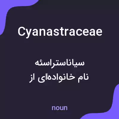 معنی cyanastraceae به فارسی