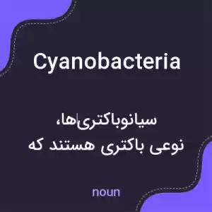 معنی cyanobacteria به فارسی معنی cyanobacteria به فارسی