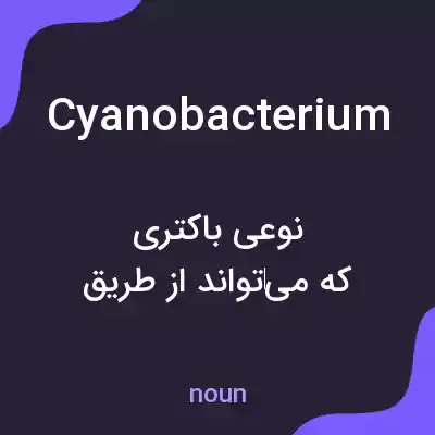 معنی cyanobacterium به فارسی معنی cyanobacterium به فارسی
