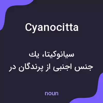 معنی cyanocitta به فارسی