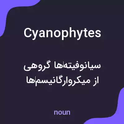 معنی cyanophytes به فارسی معنی cyanophytes به فارسی