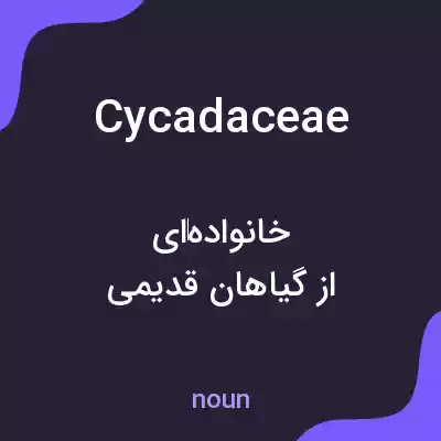 معنی cycadaceae به فارسی معنی cycadaceae به فارسی