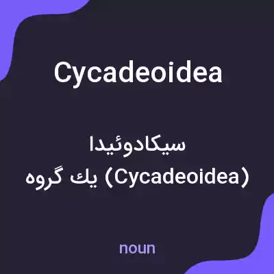 معنی cycadeoidea به فارسی معنی cycadeoidea به فارسی