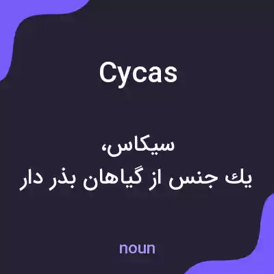 معنی cycas به فارسی معنی cycas به فارسی