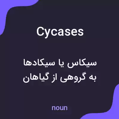 معنی cycases به فارسی
