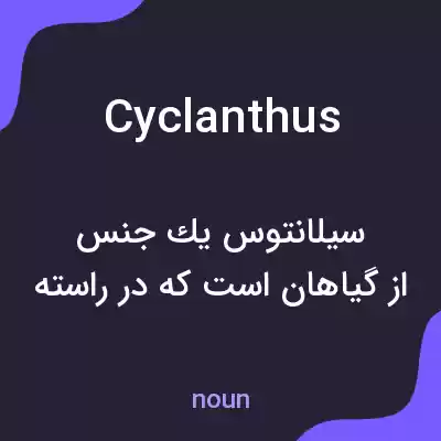 معنی cyclanthus به فارسی معنی cyclanthus به فارسی