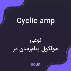 معنی cyclic amp به فارسی معنی cyclic amp به فارسی
