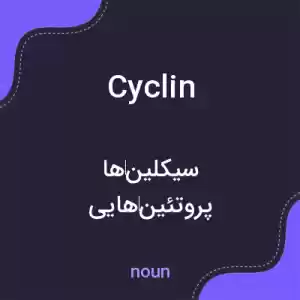 معنی cyclin به فارسی معنی cyclin به فارسی