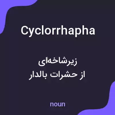 معنی cyclorrhapha به فارسی معنی cyclorrhapha به فارسی