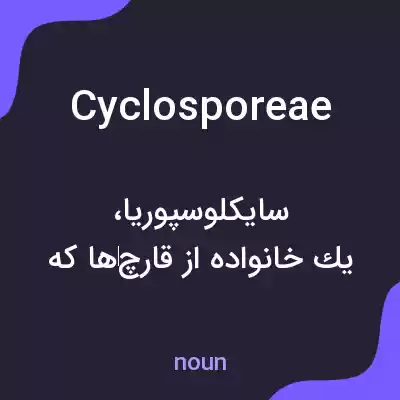معنی cyclosporeae به فارسی معنی cyclosporeae به فارسی
