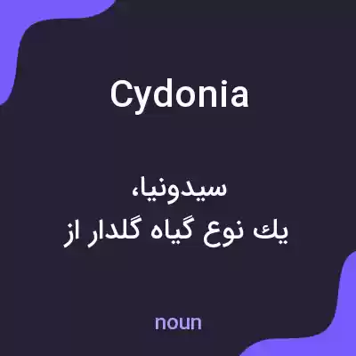 معنی cydonia به فارسی معنی cydonia به فارسی