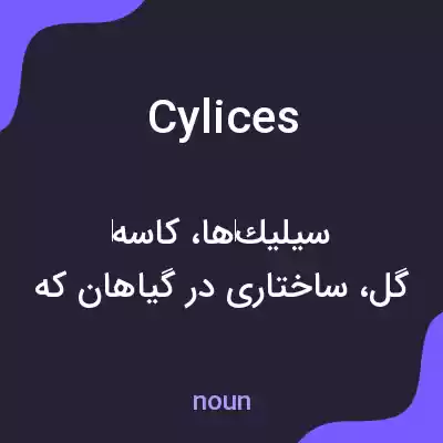 معنی cylices به فارسی معنی cylices به فارسی