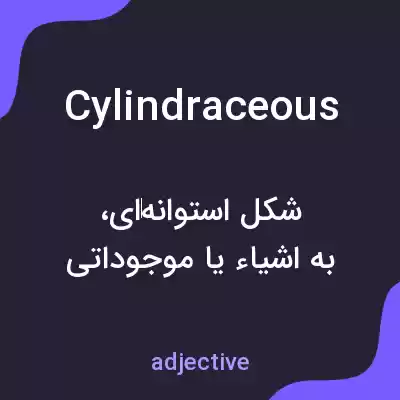 معنی cylindraceous به فارسی معنی cylindraceous به فارسی