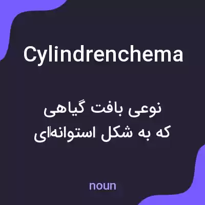 معنی cylindrenchema به فارسی