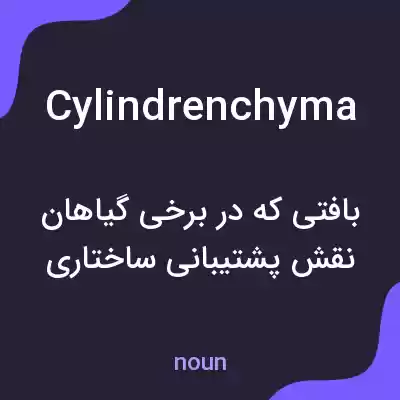 معنی cylindrenchyma به فارسی معنی cylindrenchyma به فارسی