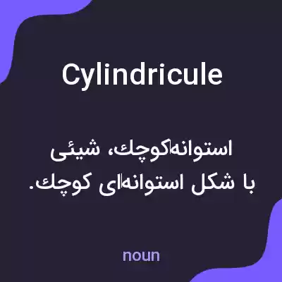 معنی cylindricule به فارسی معنی cylindricule به فارسی