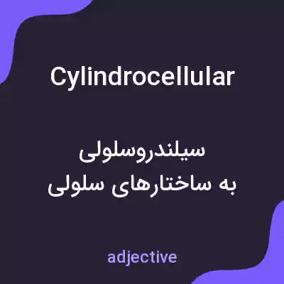 معنی cylindrocellular به فارسی معنی cylindrocellular به فارسی