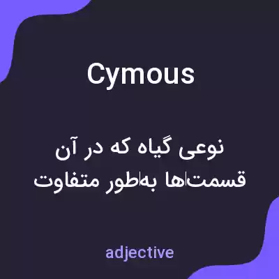 معنی cymous به فارسی معنی cymous به فارسی