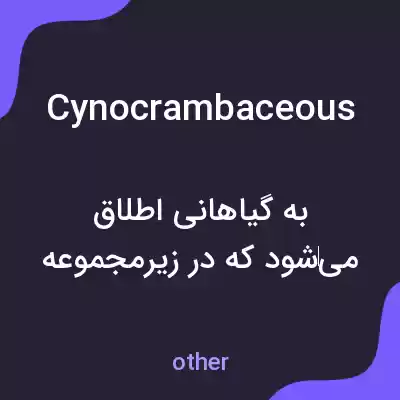 معنی cynocrambaceous به فارسی معنی cynocrambaceous به فارسی