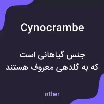 معنی cynocrambe به فارسی معنی cynocrambe به فارسی