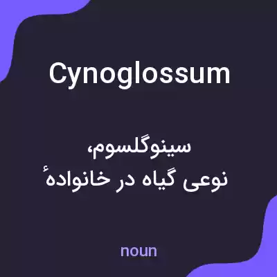 معنی cynoglossum به فارسی معنی cynoglossum به فارسی