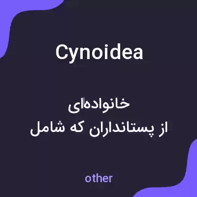 معنی cynoidea به فارسی معنی cynoidea به فارسی